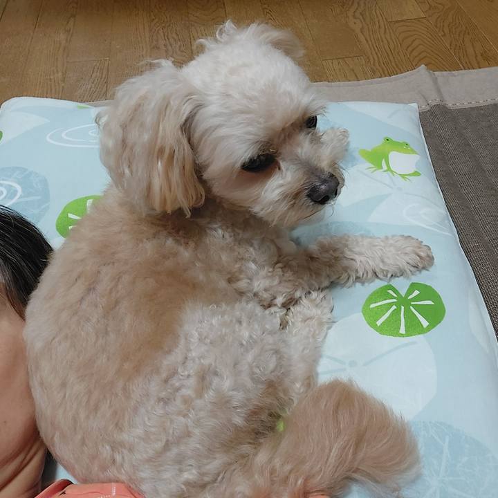 577b8b03 f670 43fc 94cc f2c3f3523785 1662202275551