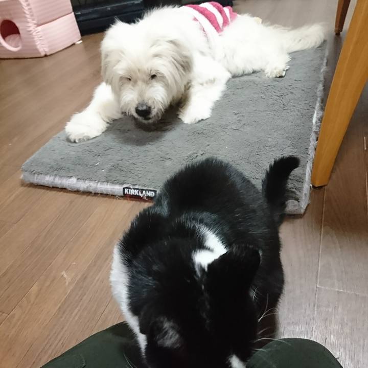 577ba9b4 137b 4312 b429 8564001b0fed 1607673734467