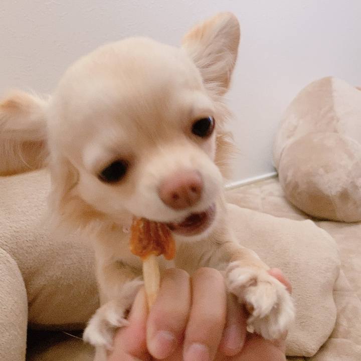 577bd947 acd7 4c35 8600 a487ab11ccf0 1614832735496