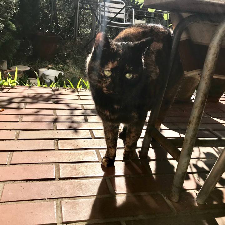 577be65f 0104 42b4 b1e1 c292212904b1 1512970353995