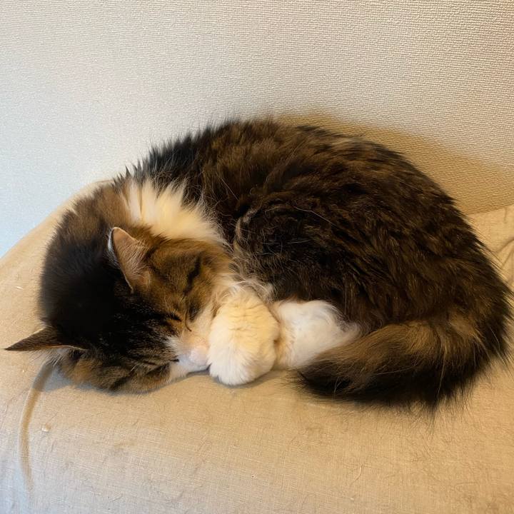 577c269d b8c3 4988 a473 3957f9f66f8b 1673478760658