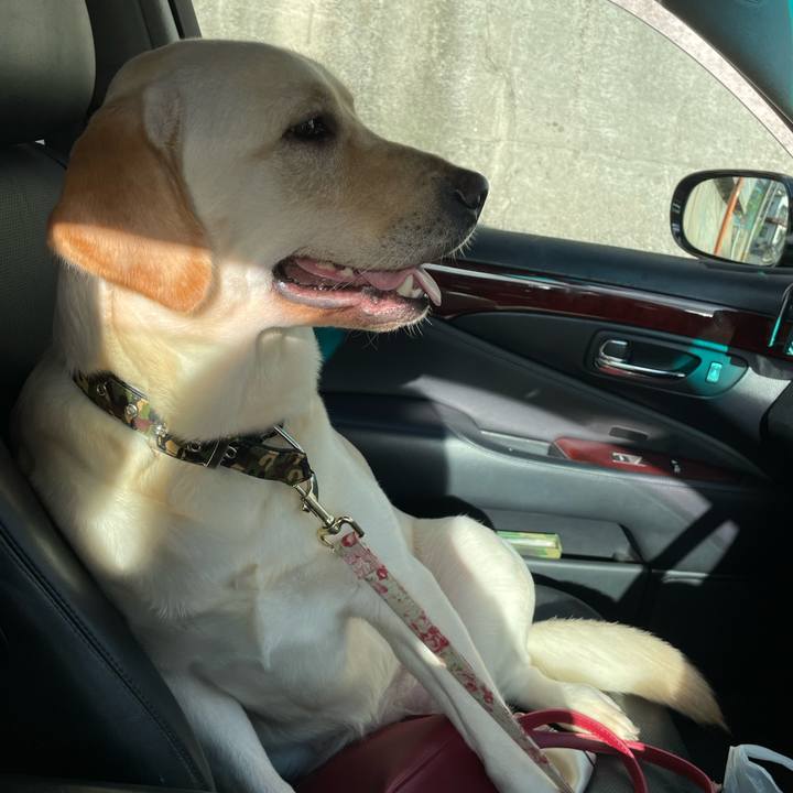 577c7674 8cf0 4c96 9d54 d7d6f8b40687 1664960348836