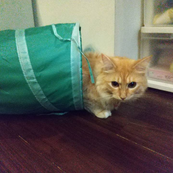 577c7e0c 33f4 4db9 8b1e 99f5ceedeb30 1632490898578