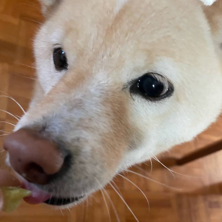 577cd87d 53e7 454c 82aa 267586273733 1698792829331