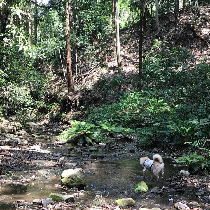 577d17a2 5f35 4506 9b05 5652ab2c2849 1555819933349