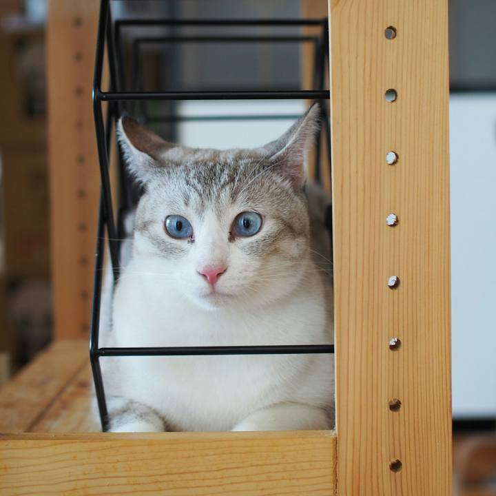 577d531f edcf 40f8 ab1e 463349deec64 1537595912349