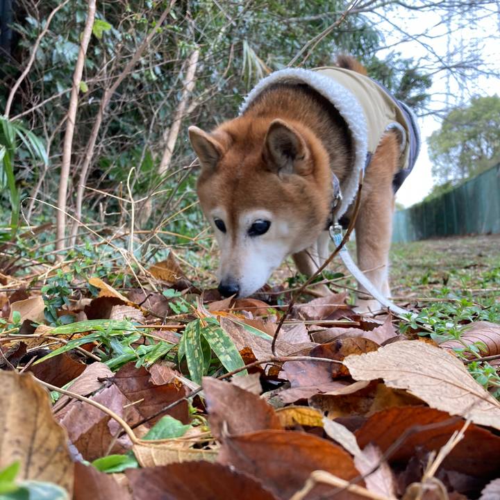 577d6c1f ff8f 47ab b105 d5c732da08e9 1741053341797