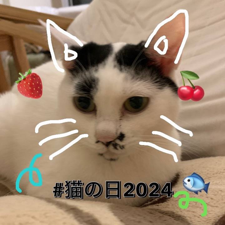 577d8066 a73b 4537 9e76 4dad4d78670e 1708668421413