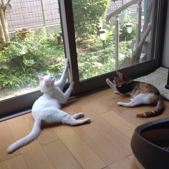 577d8b05 9bc1 4d05 a99e 09840d97f332 1629874141629