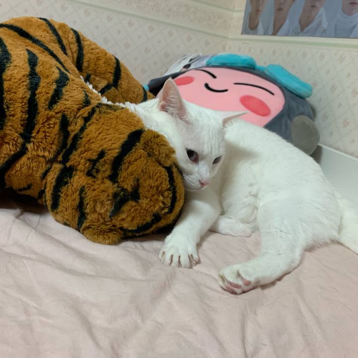 577dab7c 16dd 41a0 bf48 4c0aa24e90c0 1568925270045