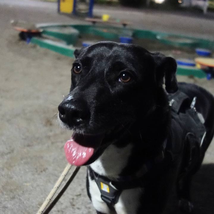 577dcbce 934e 46a9 b9ad 5312a77ff6f0 1650884105440