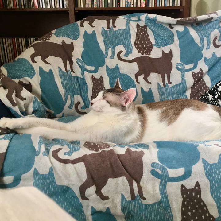 577e73d6 ce45 4c34 9366 f16b9bbe8a82 1563244682209