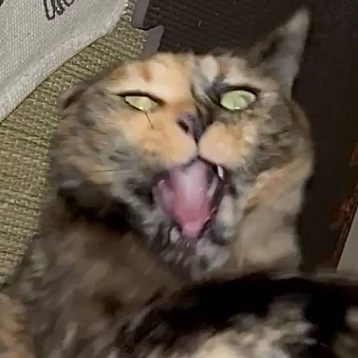 577eb319 2b9b 46cc b6a0 cf02263e4b67 1746213539708