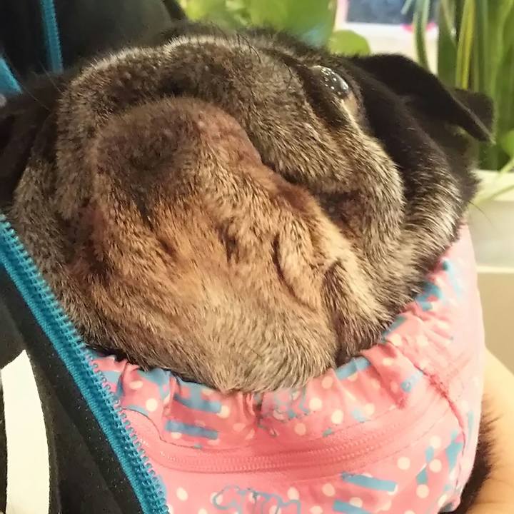 577ed304 862d 4ffb a43b a0cbf1f734d0 1532692436626