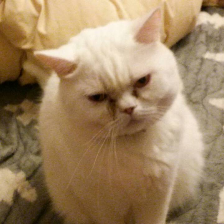 577efd65 5048 4cab 9adf 813cbac23c4c 1575259107398