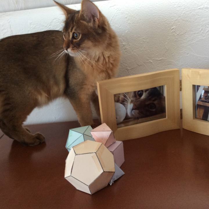 577f23fa ebf7 4147 890d 529d2652d7d8 1573710919242