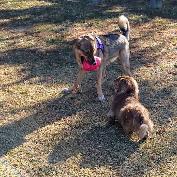 577f340b 4ed9 403c a345 a486cccc12c6 1701481539060