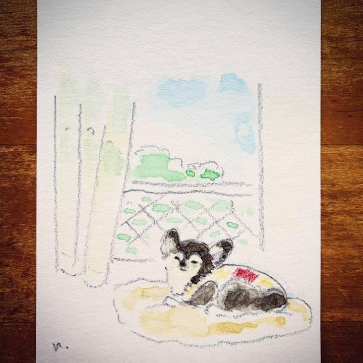 577f3f0e bcd3 4862 b6cb b882f83cd0e7 1613435101855