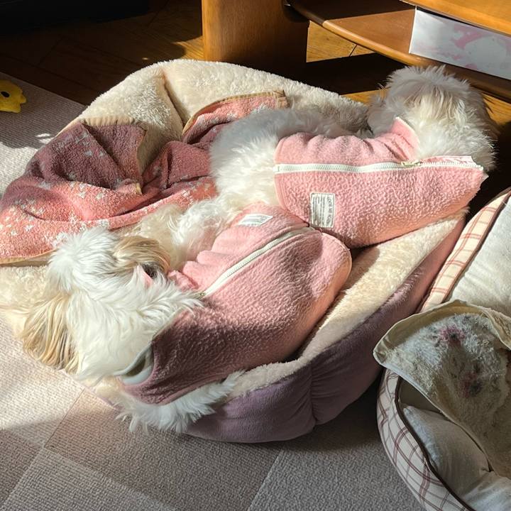 577f44bf 5be1 4714 9001 066f731f6b59 1761784389595