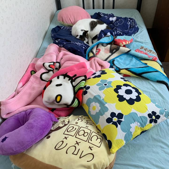 577f5d00 011b 4a98 a5b3 a2548c8c9987 1622340446686