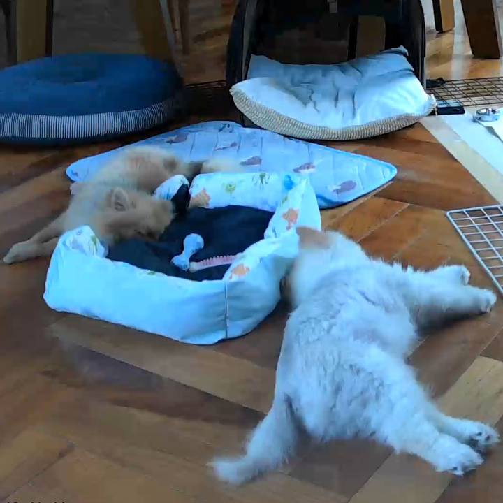 577f84d2 8f48 443b 8c8f 949358a62c4b 1659498234982