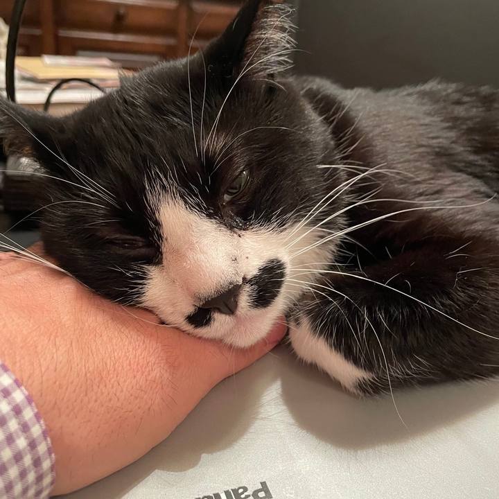 577f8b07 7d7a 4353 bb41 7a22d481798b 1684500801117