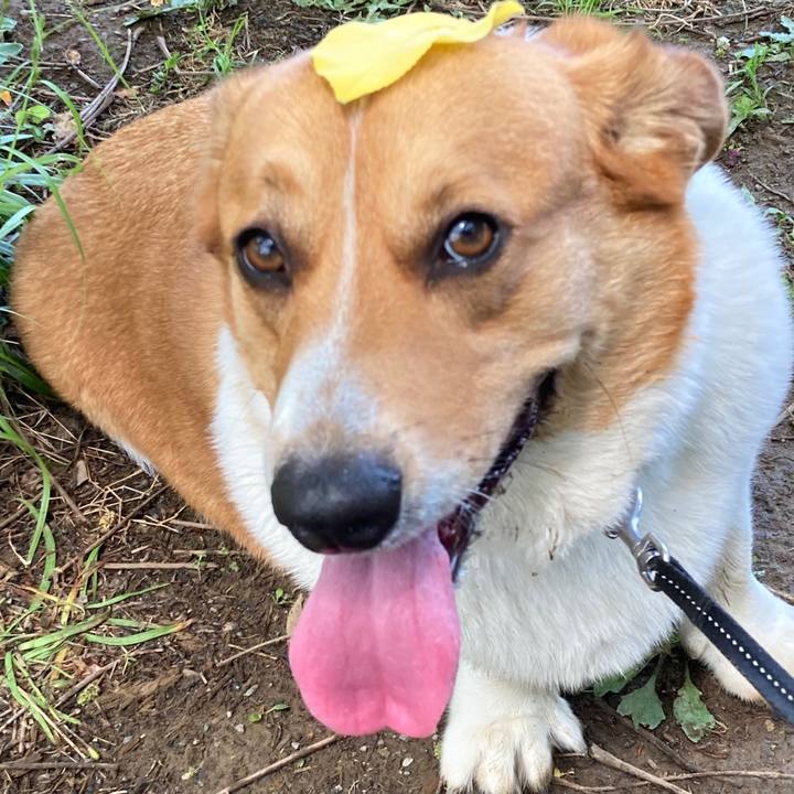 577f984e 436e 4552 824e 623468462420 1683946133336