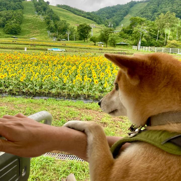 577fabfb d4fe 47e6 a7d2 1b1eb9a8498f 1723637977592