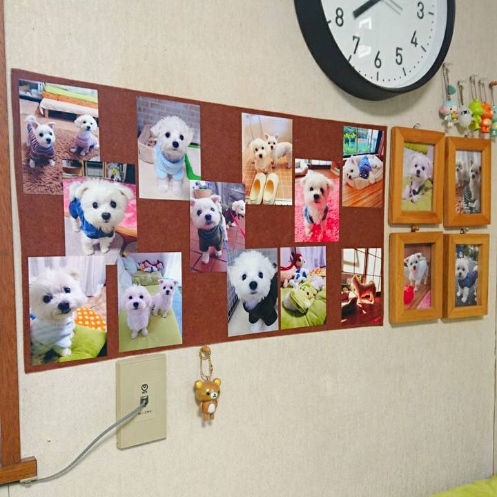 577fae79 fdb9 4517 b874 4ea02c8a1306 1511853824443