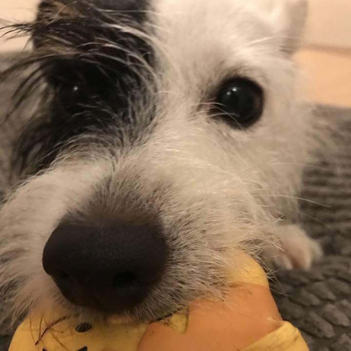 577fcbd0 12b0 454c a73b 4cafc5365056 1533734591105