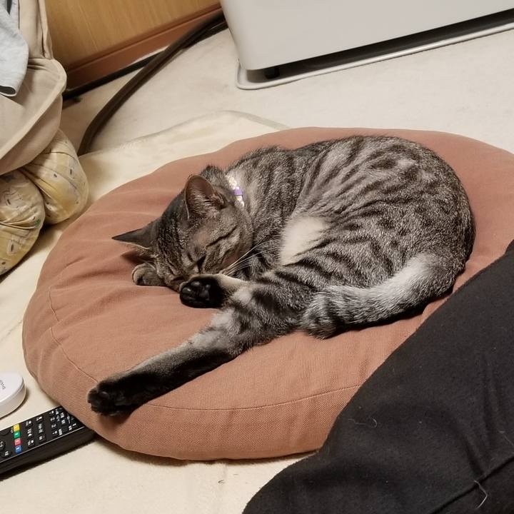 578008eb 7116 46dd aa20 b6d1ff0b5f15 1683469386214