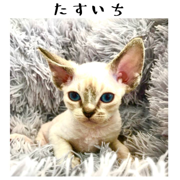 57801270 05d9 4fc2 a4cf db14edb13f6c 1580821760227