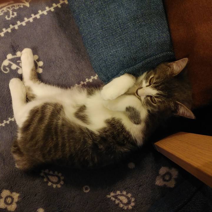 578031f0 087f 4180 8537 1609ba409df4 1569332484438