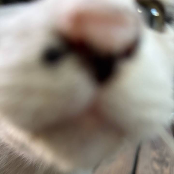 57803226 9e1d 4d1f 93a2 4f7e9e6ee8bd 1760055800621