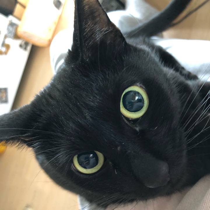 5780431b 0643 4620 b768 9ae67aeb08dd 1556331461725