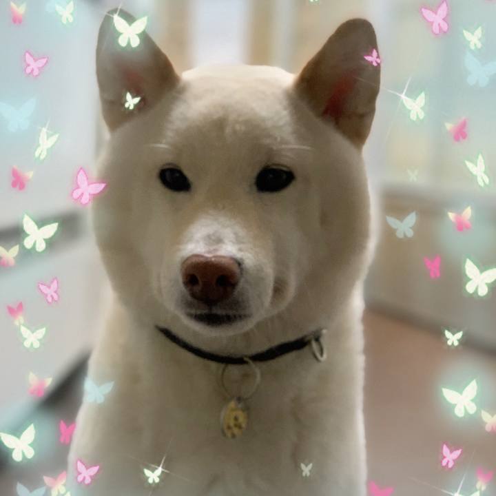 57804d4d 7820 4c03 a355 27ea1a54cd77 1749154513959