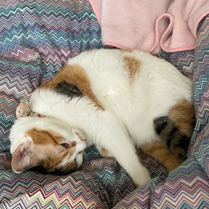 5780ce12 1df0 43ad 86e2 b8165977f4d2 1646522880273