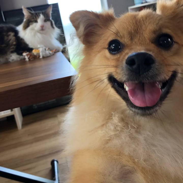 5780cf63 194a 460e 832d eda855dec6c7 1627782786552