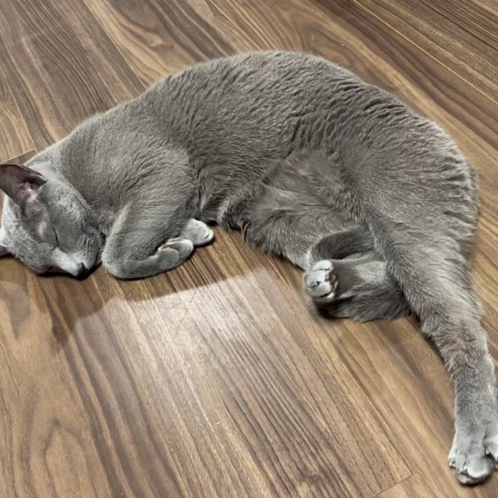 5780e52b f7ef 4eaa a2c0 d40b86316609 1738583666057