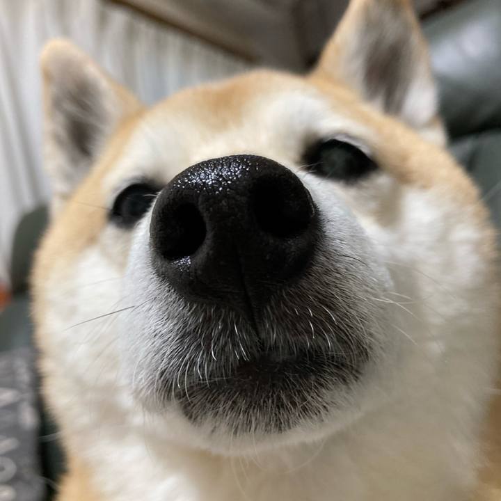 5780f94d 5d05 406b a310 0a2b631483bd 1625875213544