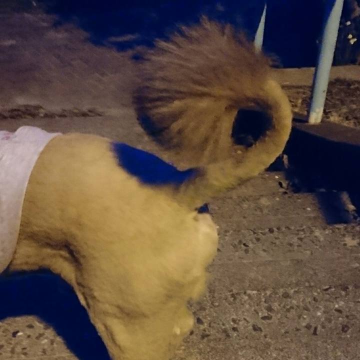 5781134c a291 45dc a2f0 738ac80bb841 1518178110158