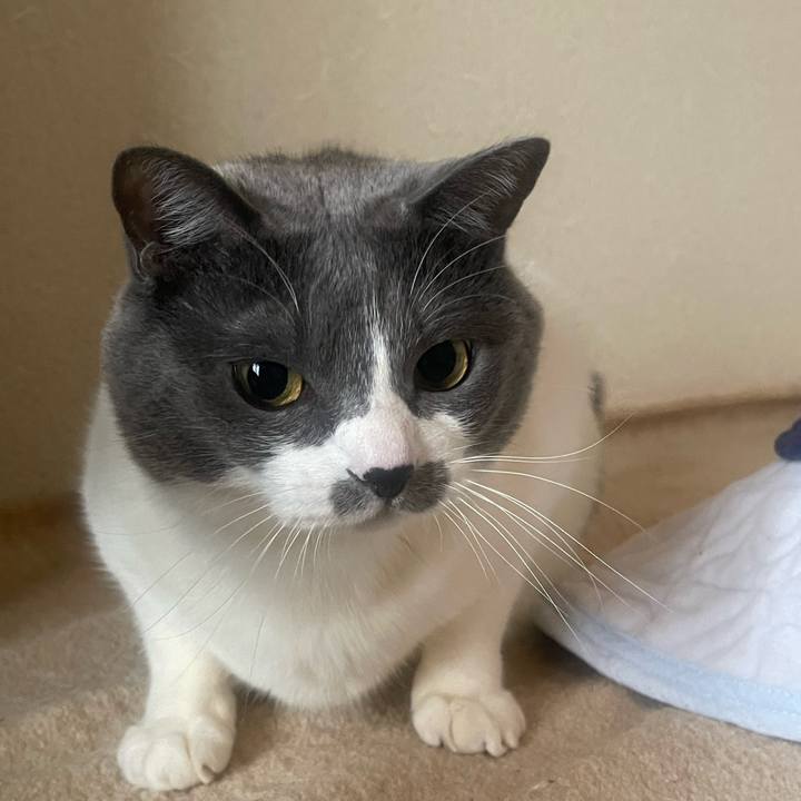 578119a8 c16c 48c5 b354 24643382eb22 1739603987188