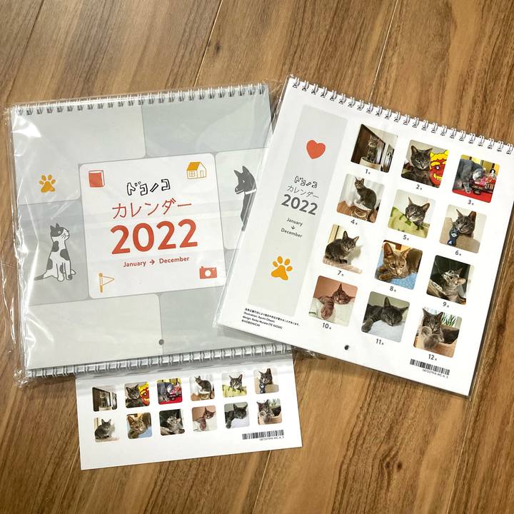 57817ee9 5459 4dfa a87e 2f4c20386968 1639223677440