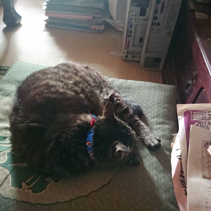 5781830e 3c5c 495a b164 5f0027c77f01 1655759666068