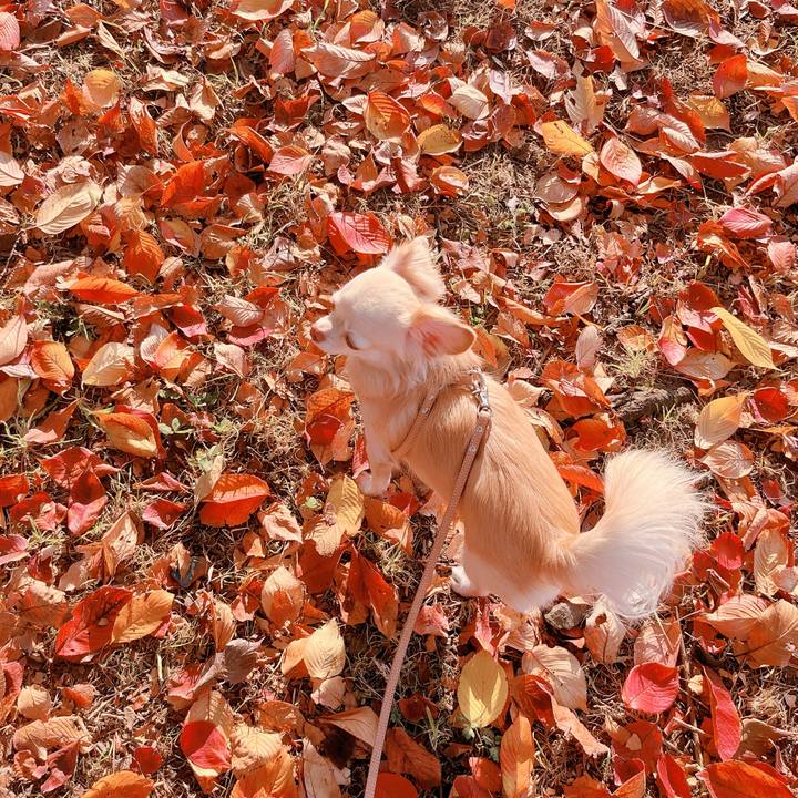 578193c1 edc1 4235 a788 5e00d0a3b0af 1668147849571