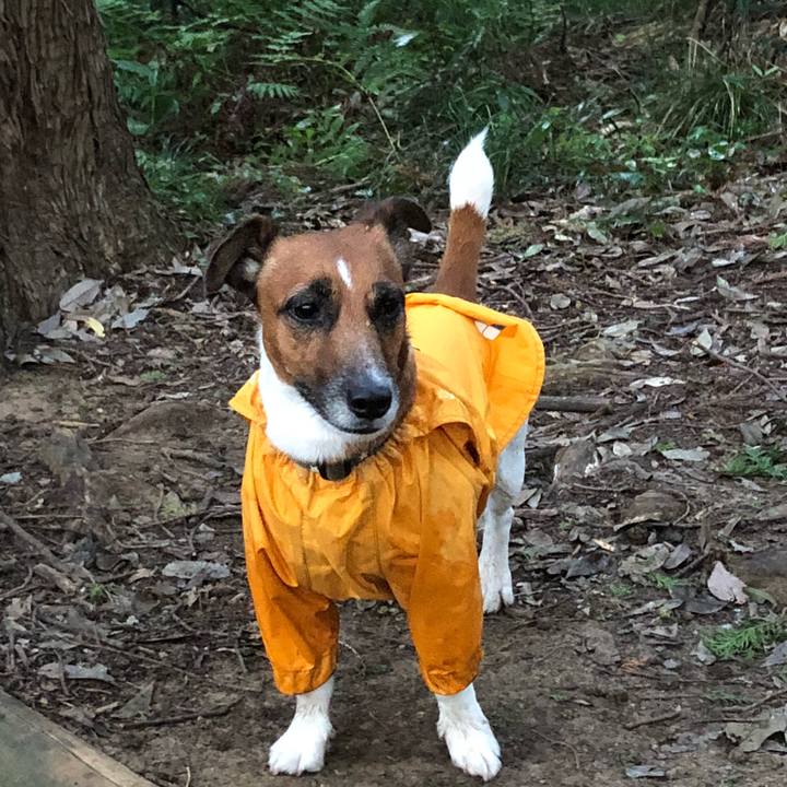 5781c13c 86d5 4798 a74d e6cc52e2ed91 1536533390915