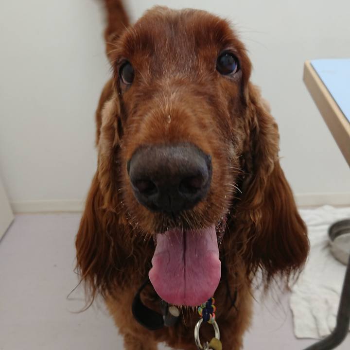 5781c75b 7749 4145 a00e abca29dc20fb 1530966561373