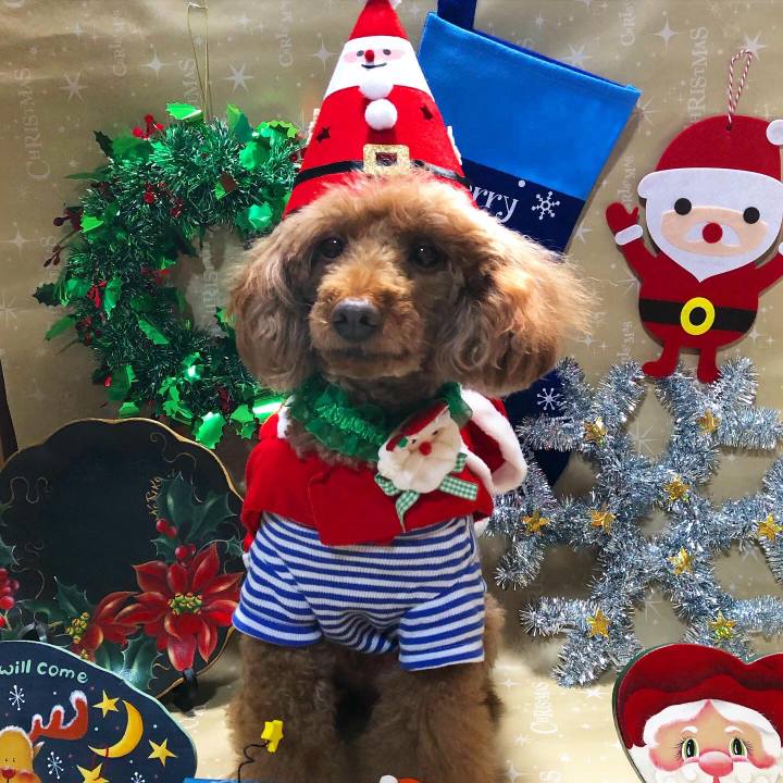 578229b4 a9f5 41e9 b5a3 94317161f9f5 1608091884806