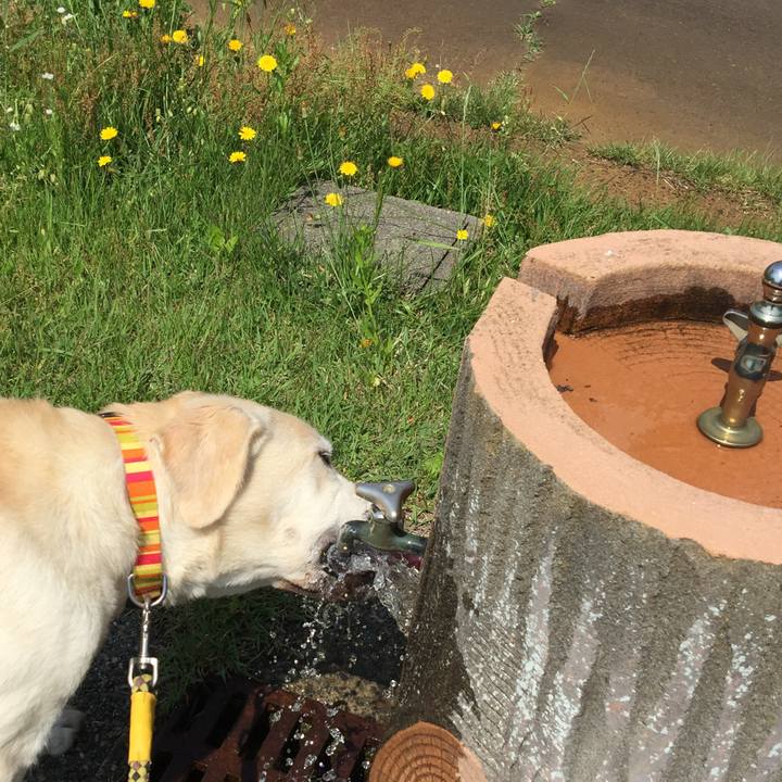 5782990c d62a 48fe 8f00 babccc9a6b64 1527558498625