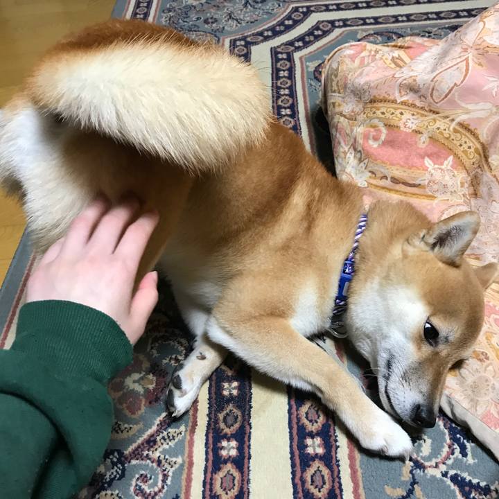 5782c643 9dca 404b 9617 e1a138471aa1 1546054757617